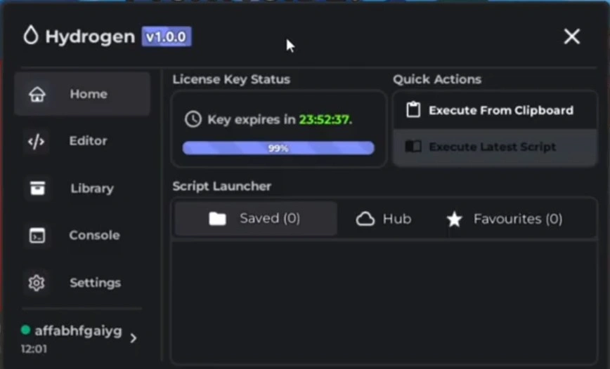 Hydrogen Executor Key System Verification